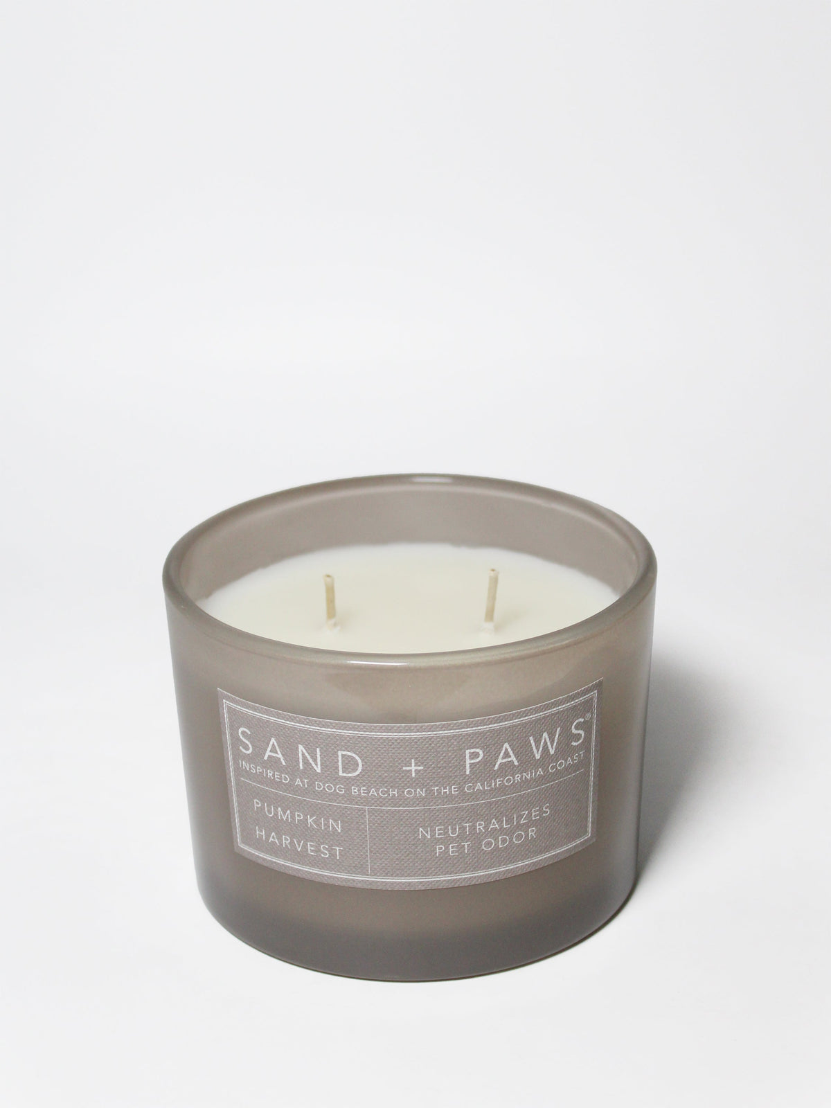 Sand + Paws Pumpkin Harvest 12 oz scented candle