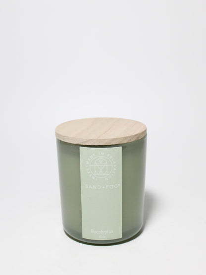 Eucalyptus 10 oz scented candle