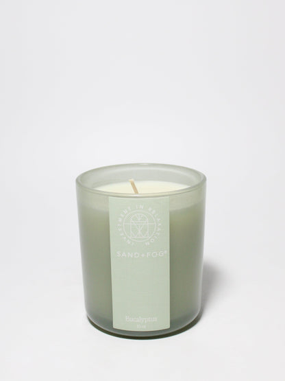 Eucalyptus 10 oz scented candle