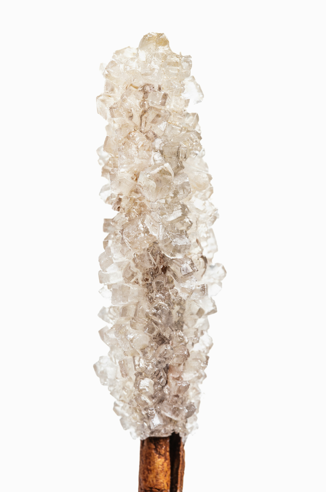 Vanilla Sugar 50ml Perfume Oil Rollerball