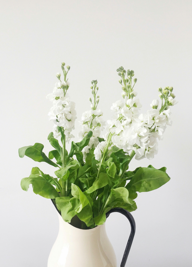 White Flowers 15.7 oz Liquid Hand Soap