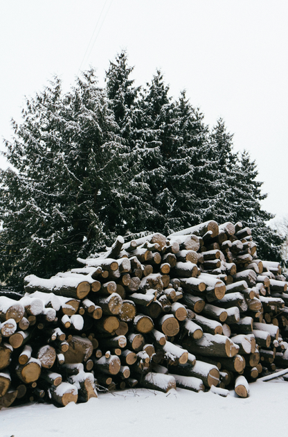Firewood & Silver Fir 6 oz scented candle